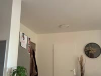 Jeune femme chaude, au gros cul, gros seins, avec des magnifiques rondeurs, prête à exaucer tout vos souhaits ! Prend place et regarde mon show de folie qui te fera oublier tout tes soucis ! Pour les plus curieux mes lives en privé se font avec des jouets